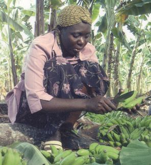 BÃ¤uerin in Uganda