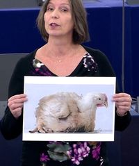 Anja Hazekamp im Europaparlament