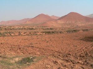 Gruene Waelle gegen Desertifikation