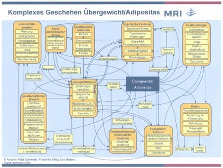 Ursachenkomplex für Adipositas