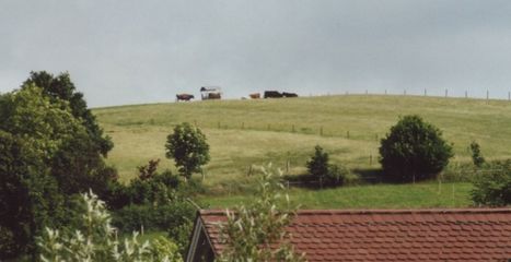 Kleinstrukturierte Landwirtschaft