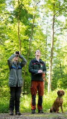 Wie gesund ist der Wald?