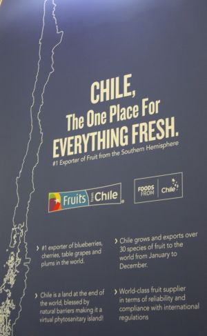 Chile auf der Fruit Logistica 2019