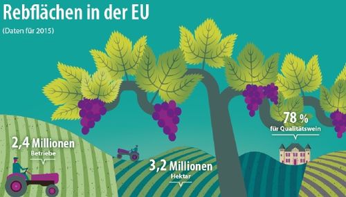 Weinanbau in der EU