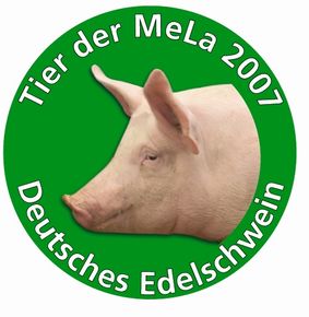 MeLa-Tier