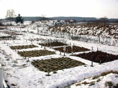 Flaechen im Botanischen Garten