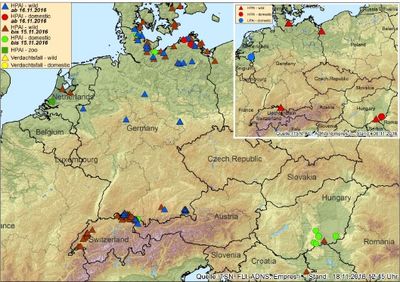 FLI-Karte zum H5N8-Ausbruch mit Stand 18.11.2016