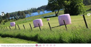 Pink Ribbon