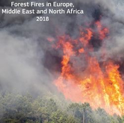 Titelbild Waldbrandbericht