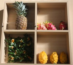 Ananas, Drachenfrucht, Pitahaya und Physalis (i. Uhrzeigersinn von l.oben)