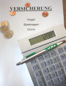 Rechnet sich die Versicherung?