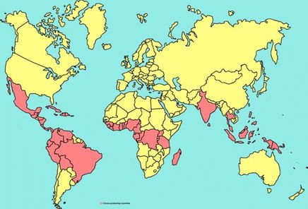 Erzeugerregionen fuer Kakao ICCO