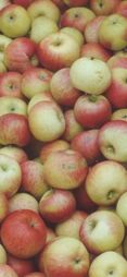 Apfel