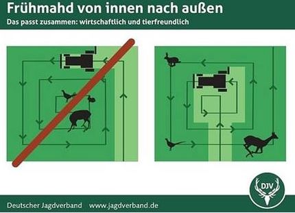 Frühmahd zur Wildrettung