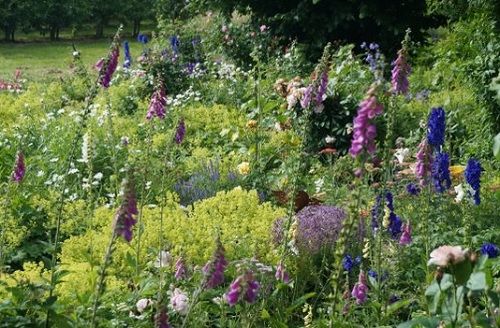 Blüten im Garten, auf Terrasse und Balkon