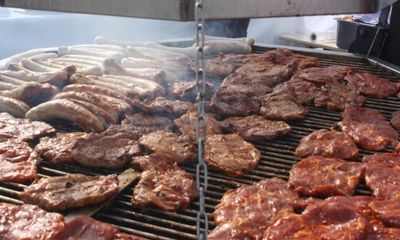 Schwenkgrill