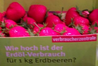 Erdbeeren