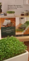Microgreens