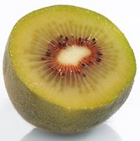 Oriental Red Kiwi