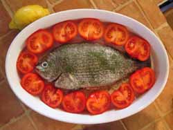 Fisch und Tomaten IGB