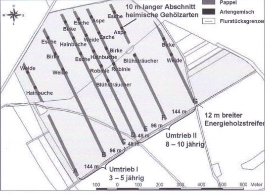 VersuchsflÃ¤che Dornburg TLL